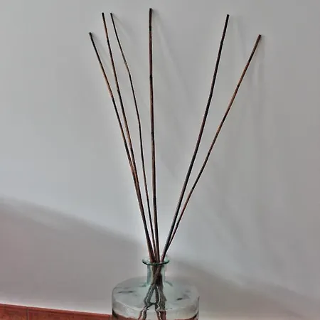 Greek Malpica